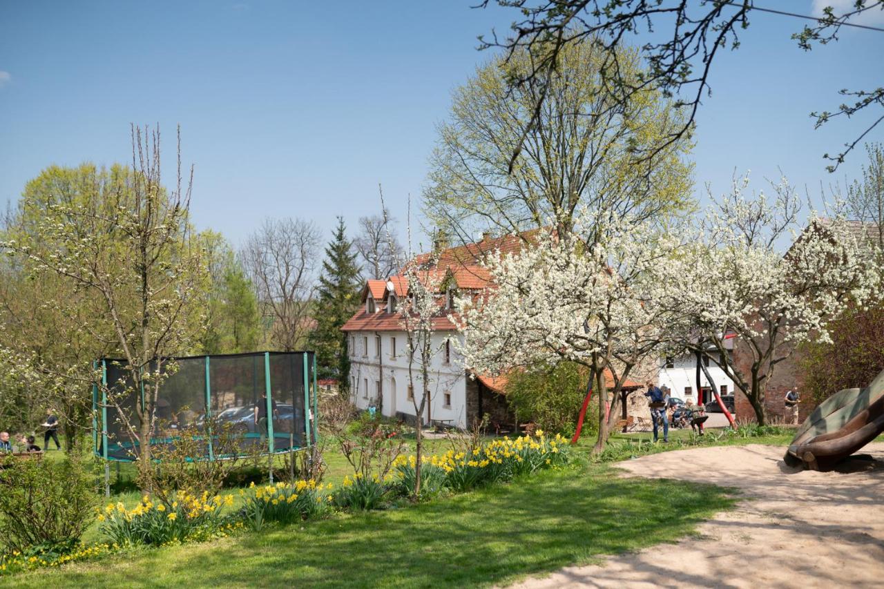 Villa Greta Świerzawa Buitenkant foto